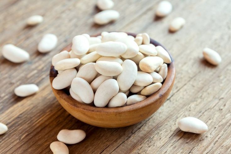 Bulk Iranian Navy Beans Wholesale Supplier for Government Procurement Tenders; Consistent Quality & Long-Term Framework Agreements